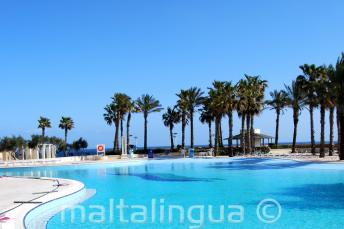 Hilton Malta Swimmingpool mit Meerblick