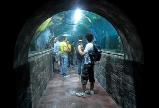 Sprachschüler in einem Aquarium Tunnel